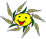 Logo der Saatschule in Form einer Sonne mit Ährenhalmen Logo der Saatschule in Form einer Sonne mit Ährenhalmen